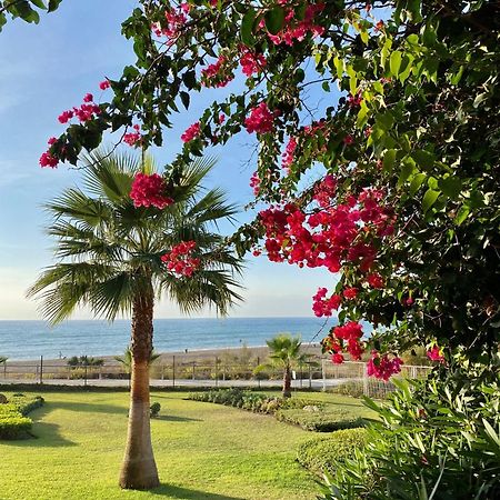 Sunshine Beach Front Complex, Wifi, Modern Касарес Экстерьер фото